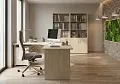 мебель Рива Клён